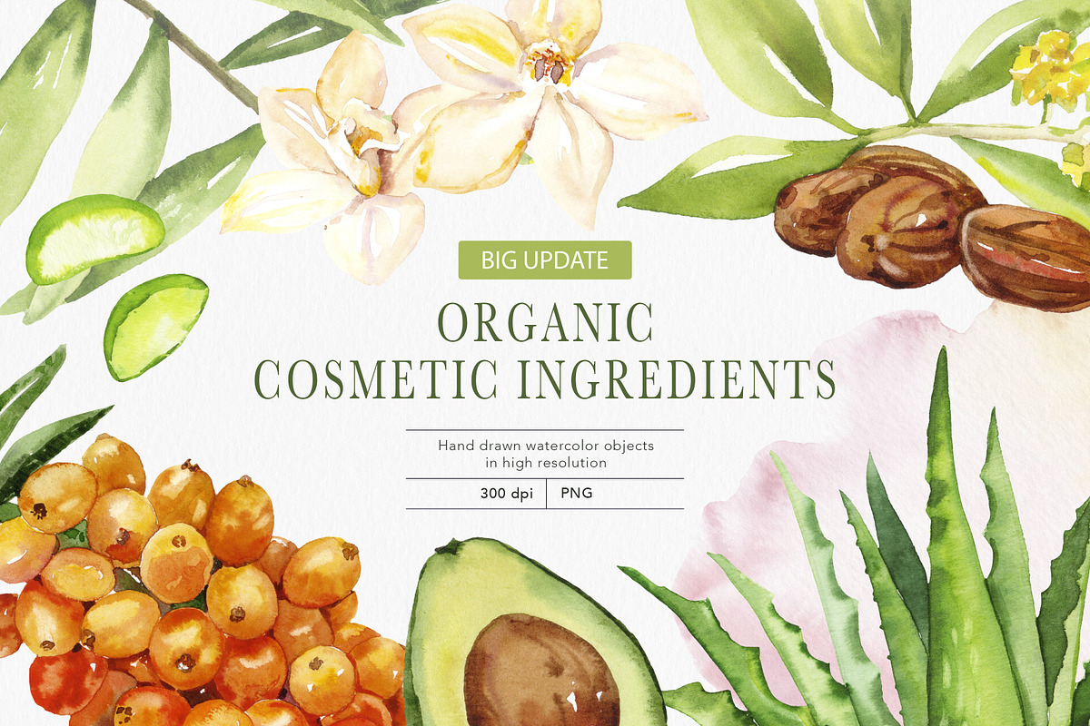 Cosmetic Ingredients Watercolor set, a Healthcare Illustration by Volha Studio (Photo 1 of 19)