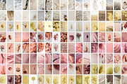 Soft Pastel Stock Photos Bundle 280, a Nature Photo by Tale.Haus (Thumbnail 16 of 19)