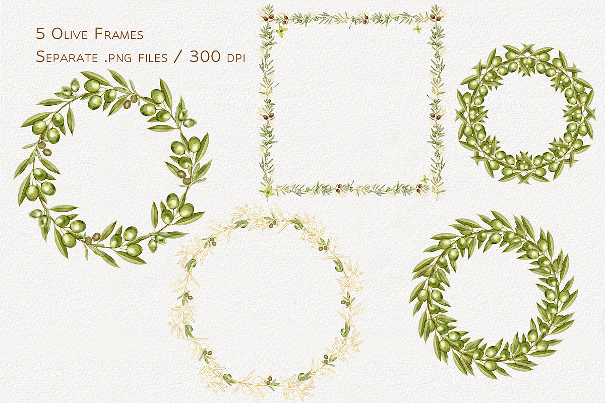 Olive Whispers Watercolor Collection, a Decorative Illustration by Aurella Art (Photo 9 of 15)