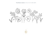 WILDFLOWER LINE ART, an Object Illustration by Kate Art (Thumbnail 8 of 22)