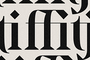 Archer Display - Ligature Serif Font, a Serif Font by SilverStag Type Foundry (Thumbnail 15 of 29)
