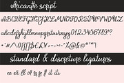 Aricantte - Handwritten Font Duo, a Script Font by DreamONprints (Thumbnail 5 of 7)