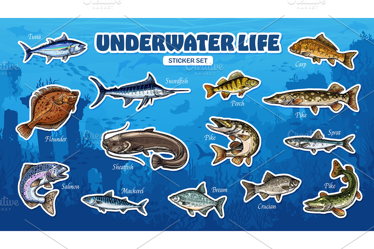 Sketch sea fish stickers, fishing, an Animal Illustration by Vector Tradition