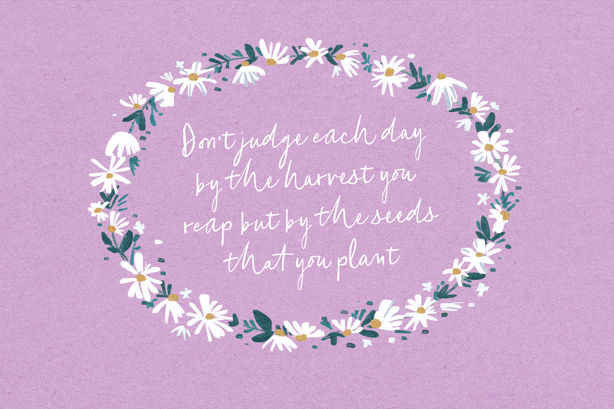 Happy Blooms Script preview 4