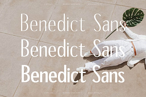 Benedict Family Modern Sans Serif