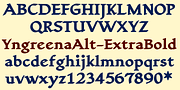 YngreenaAlt, a Serif Font by Ingrimayne Type (Thumbnail 8 of 8)