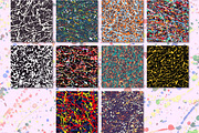 10 splatter seamless patterns, a Pattern Graphic by Asyndrom (Thumbnail 2 of 2)