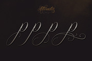 Chica Script Font, a Script Font by StockMamba (Thumbnail 12 of 17)