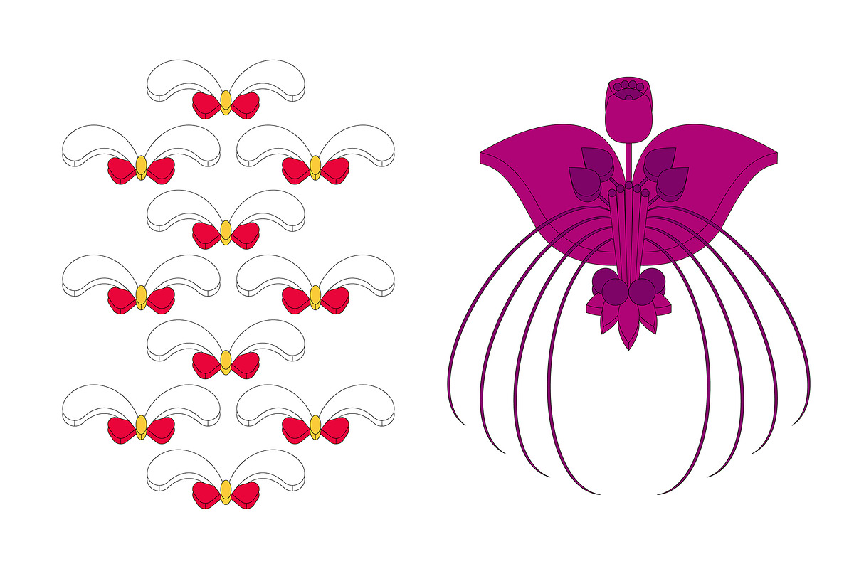 REASSEMBLED FLORA, a Decorative Illustration by HaiHoa (Photo 6 of 7)