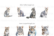 Cute Bengal Cat Clipart, Cute Cats, an Animal Illustration by BrushstrokeArtGB (Thumbnail 3 of 10)