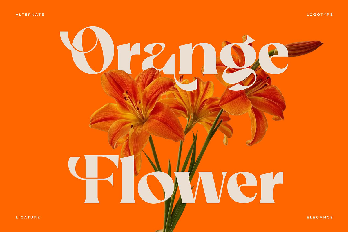 Aglafe || Elegant Strong Serif Font, a Serif Font by Ermedia Studio (Photo 4 of 10)