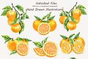 Oranges Watercolor Clipart, a Food Illustration by BarvArt (Thumbnail 3 of 6)