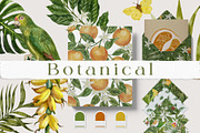Botanical Watercolor Collection, a Pattern Graphic by mila_leev (Thumbnail 1 of 13)