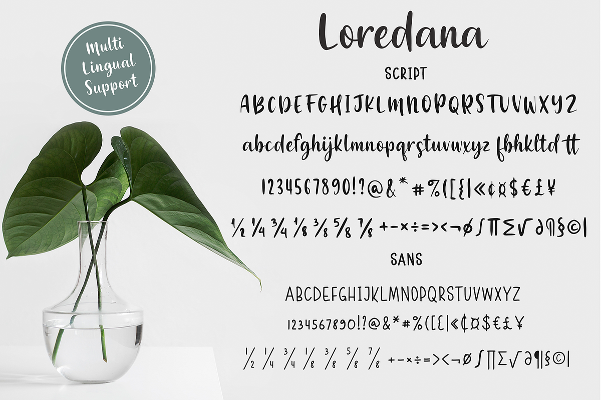 Loredana preview 7