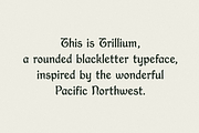 Trillium, a Blackletter Font by Bruised Goods (Thumbnail 3 of 12)