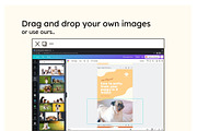 Pets Pinterest Pins Canva Templates, a Social Media Template by Cultive Creative (Thumbnail 6 of 12)