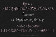 Swoonspun Swirly Display Font, a Handwritten Font by The October Creative (Thumbnail 2 of 8)