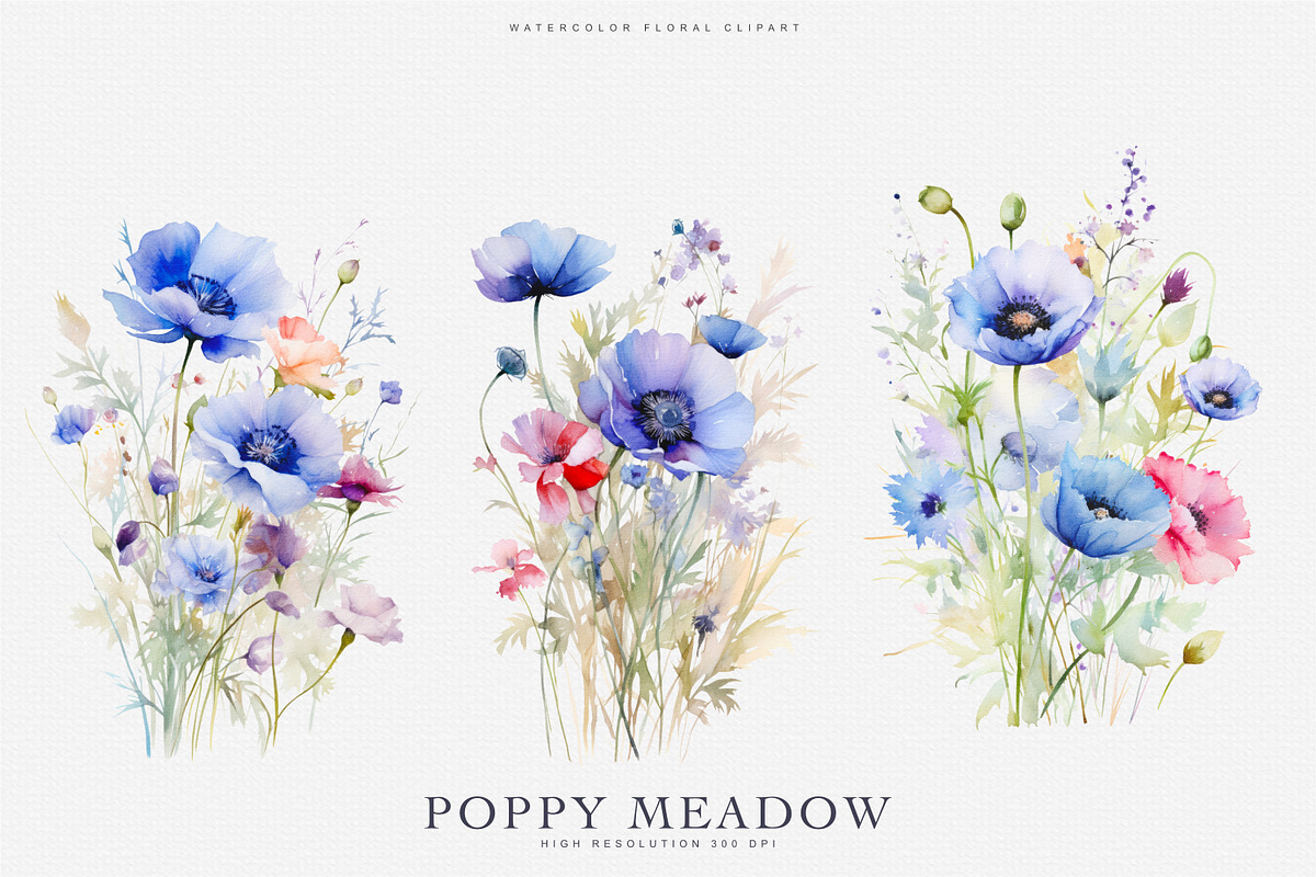 Watercolor Purple Poppy Clipart Set, a Decorative Illustration by Patishop Art (Photo 4 of 4)