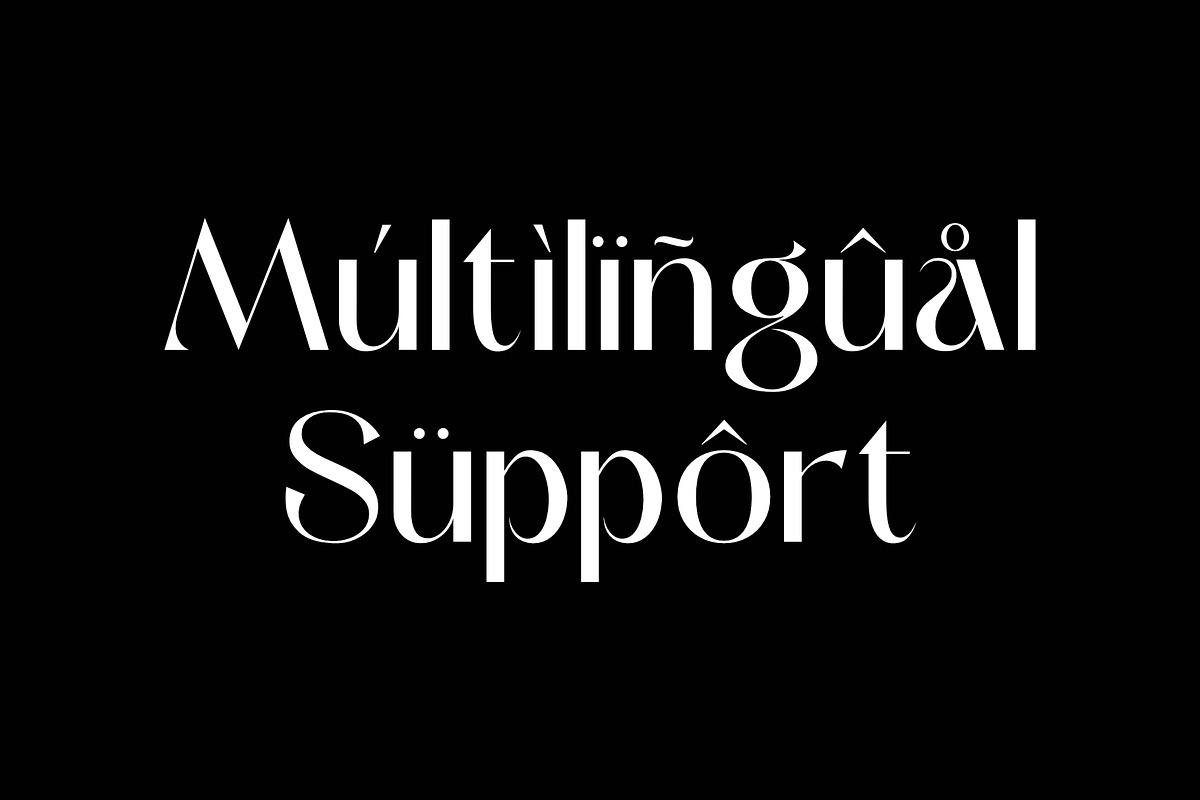 Radeyn | Modern Classy Logo Font, a Serif Font by Sealoung (Photo 6 of 8)