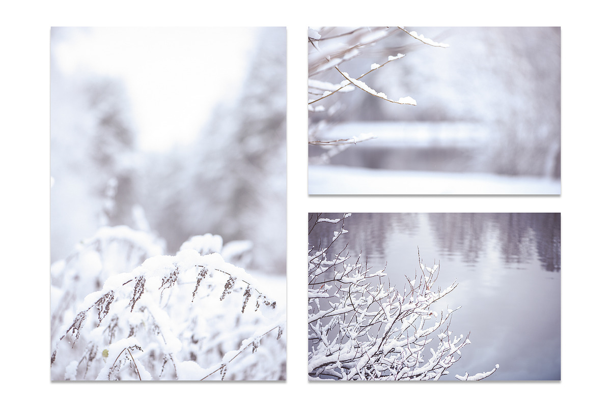 Winter Blurred background, a Nature Photo by WildStrawberry Magic (Photo 7 of 9)