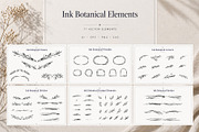 Ink Botanical Elements Vector Set, an Object Graphic by Christine Krahl (Thumbnail 2 of 12)
