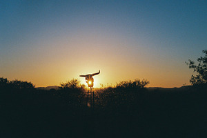 Desert sunset stock photo