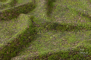 Seamless Ground Textures-Autumn Moss, a Texture Graphic by Arthitecture Home (Thumbnail 5 of 11)