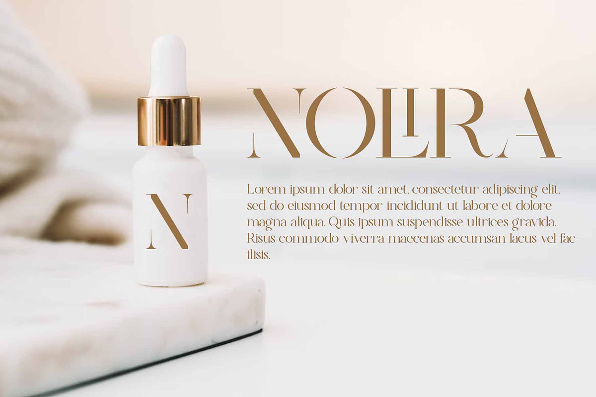 Nolira – Elegant Serif Font, a Serif Font by kangfont Studio (Photo 4 of 10)