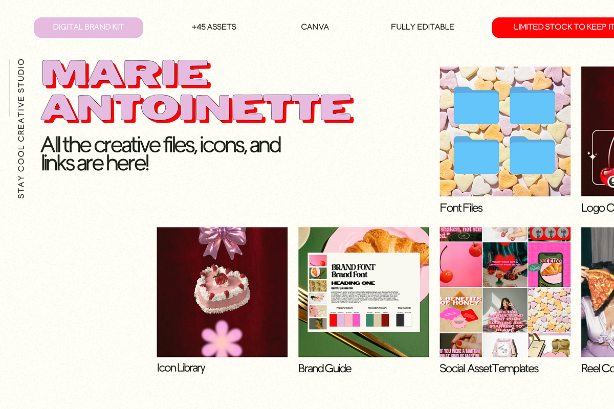 Bold Feminine Brand & Canva Template, a Templates & Theme by Stay Cool Creative Studio (Photo 4 of 5)
