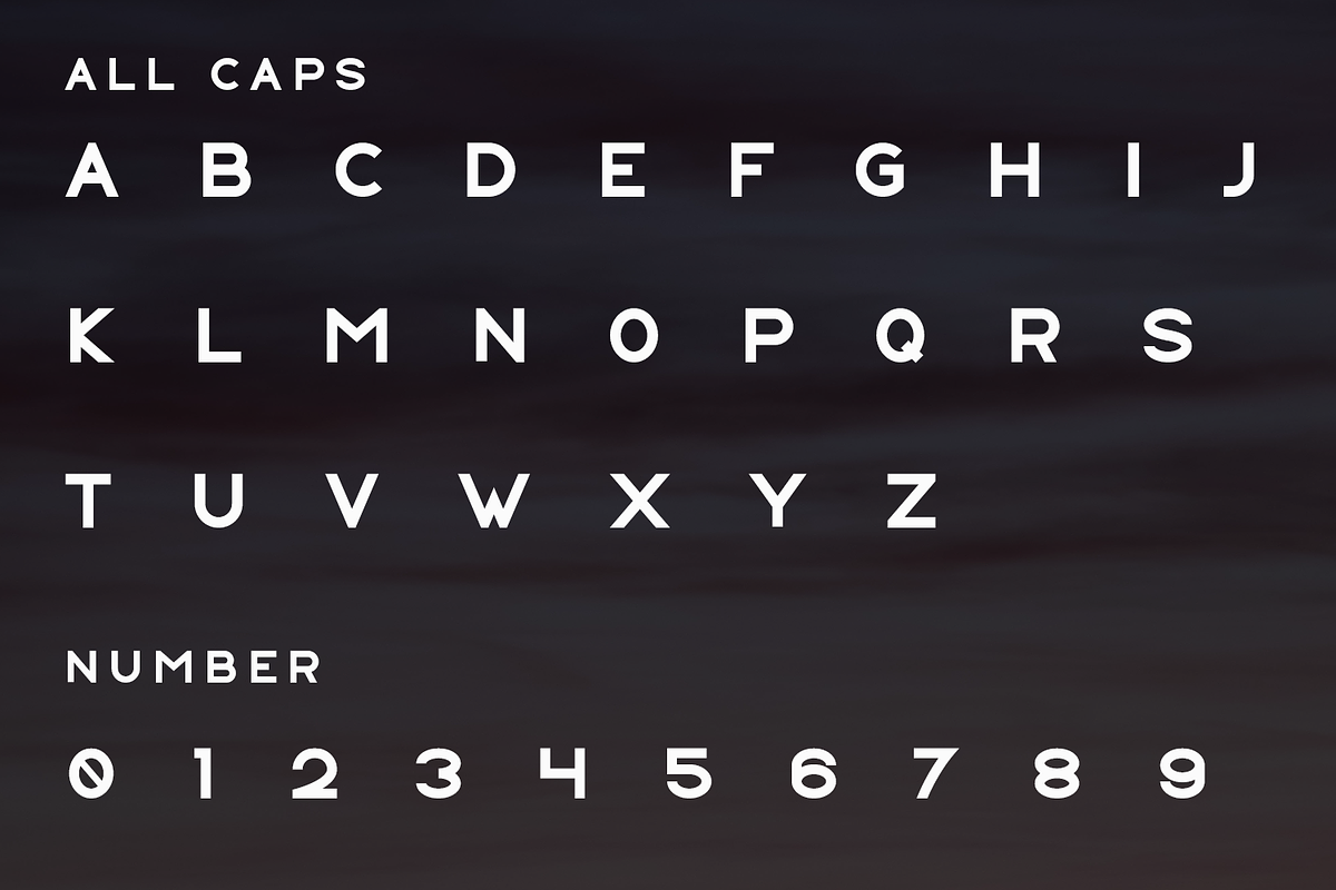 Niperia, a Slab Serif Font by lelevien (Photo 3 of 4)