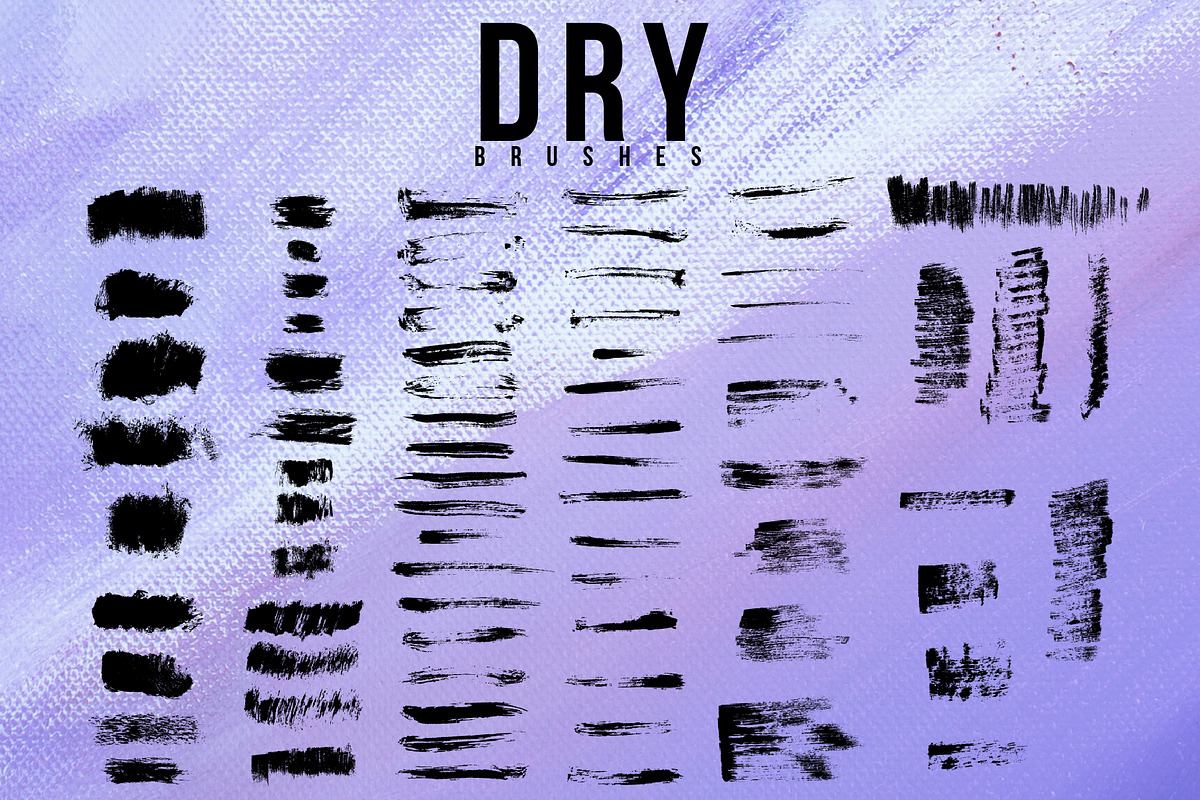 Dry brushes for AI, a Brush Add-On by Leo Studio Design Lab (Photo 2 of 3)