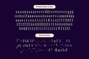 Begosta Modern Display Serif, a Serif Font by timelesstype.co (Thumbnail 18 of 20)