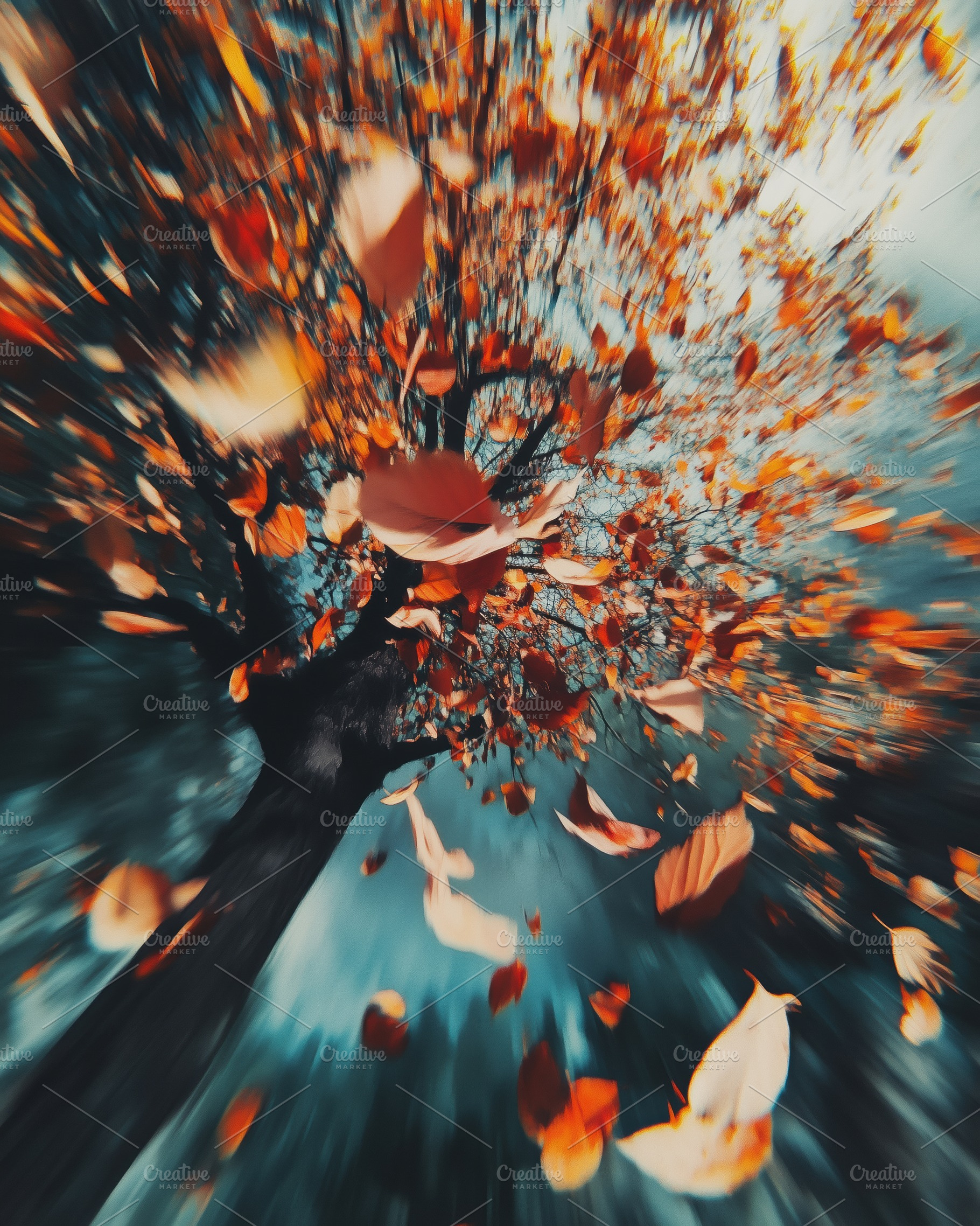 A dynamic view of a tree with vibrant autumn leaves swirling in the air, creati, a Photo by Textures & Backgrounds