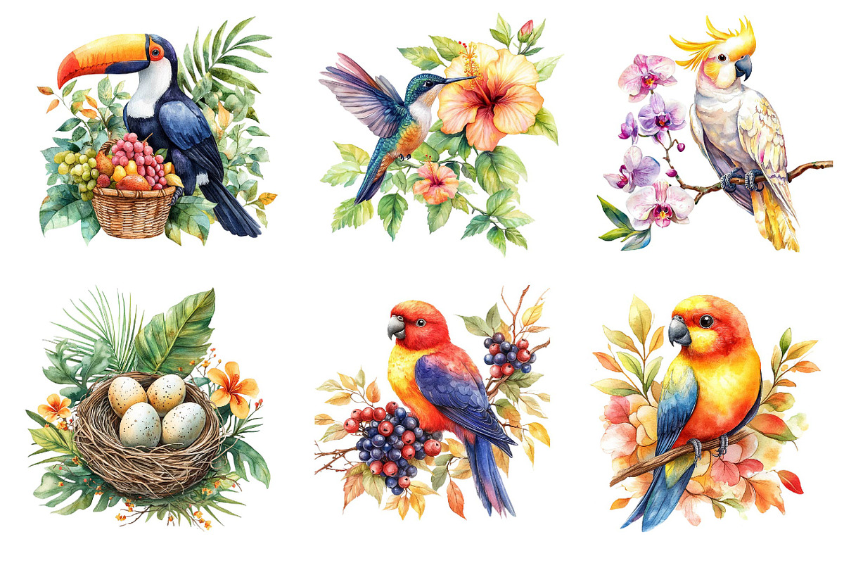 Tropical Birds Garden Clipart, an Icon by Dream Creation (Photo 2 of 6)