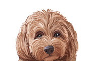Dogs Cross Breeds 56 Animals Bundle, an Animal Illustration by Dneprstock (Thumbnail 36 of 55)