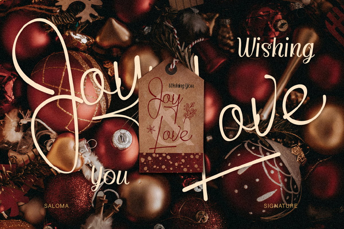 Saloma Signature, a Script Font by Burntilldead (Photo 5 of 11)