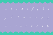 Pen Swan, a Script Font by Great Lakes Lettering (Thumbnail 8 of 11)