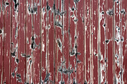 Vector Wood Backgrouds, an Object Graphic by Open Eye Design (Thumbnail 5 of 5)