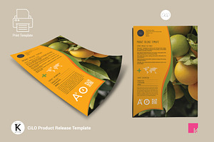 CiLO Product Release Template