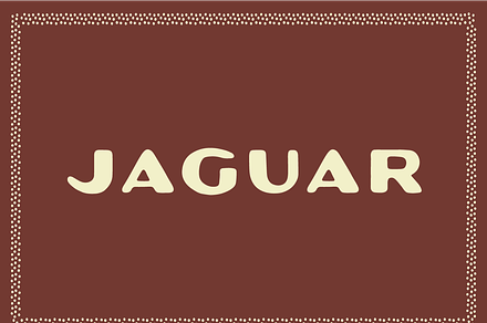 Jaguar, a Sans Serif Font by By Meg Burk