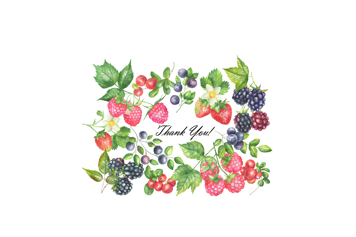 Wild Berry Watercolor Clipart, a Food Illustration by OlDm_Shop (Photo 8 of 8)