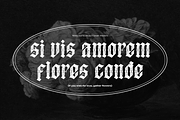 Gradley | Blackletter Font, a Blackletter Font by Denustudios (Thumbnail 5 of 12)