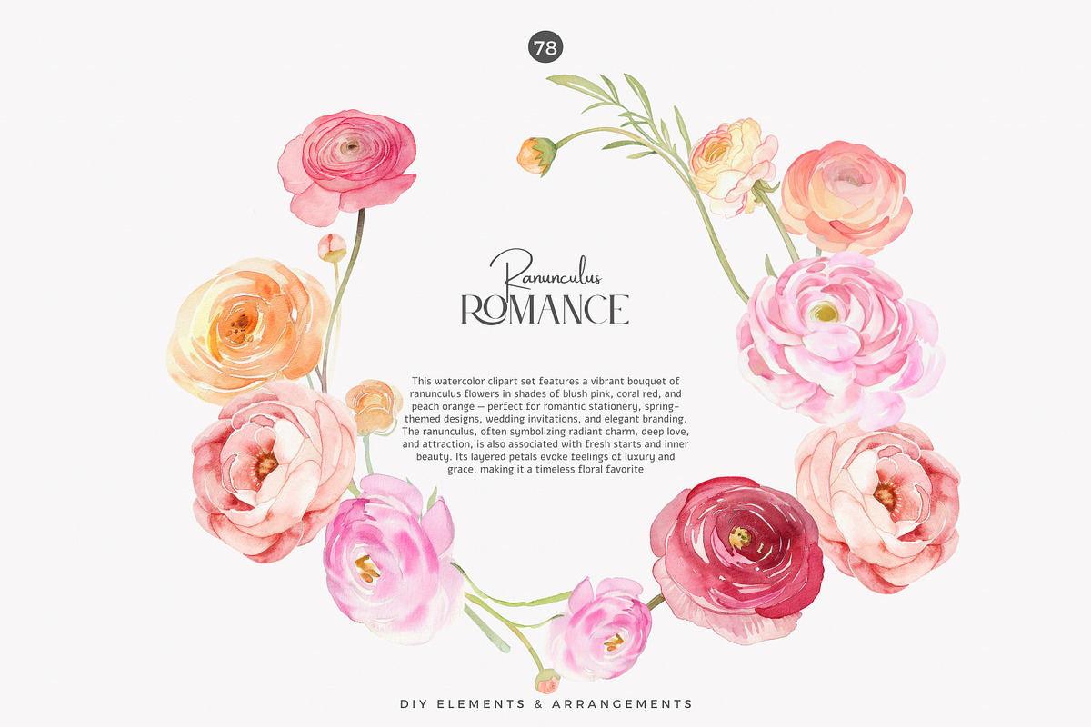 watercolor ranunculus clipart set, a Decorative Illustration by Patishop Art (Photo 4 of 10)