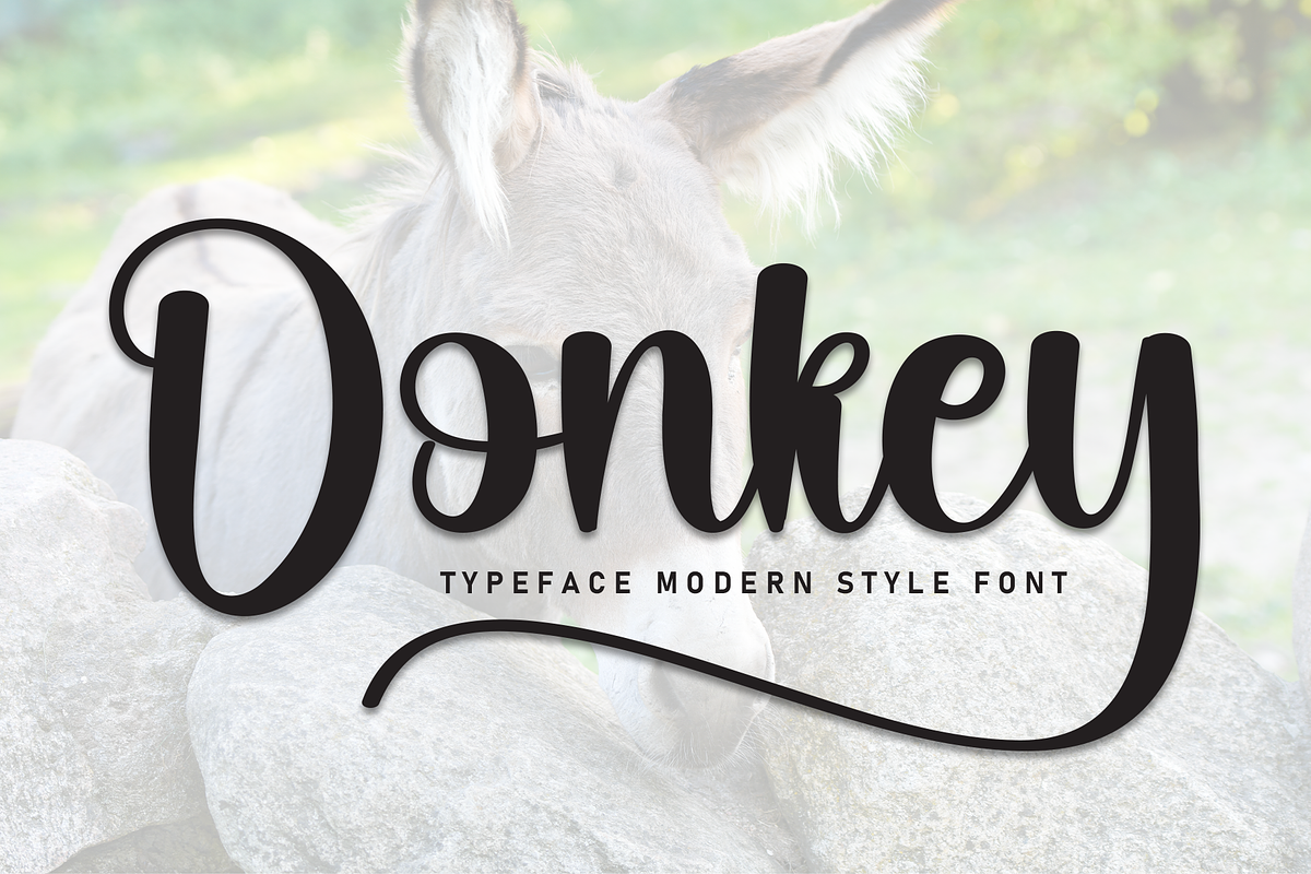 Donkey | Script Font, a Handwritten Font by Scratchones (Photo 1 of 9)