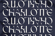 FRENCH CHATEAUX - Chic Display Font, a Sans Serif Font by SilverStag Type Foundry (Thumbnail 12 of 22)