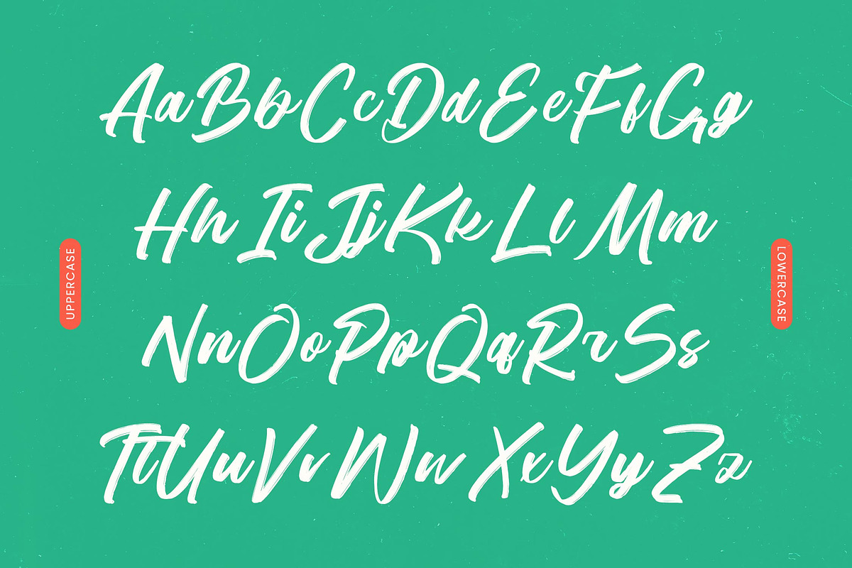 Balista Modern Brush Font, a Script Font by Letterena Studios Script (Photo 9 of 15)