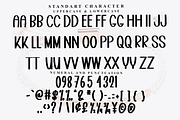 Point Beach, a Script Font by FreshTypeINK (Thumbnail 4 of 7)