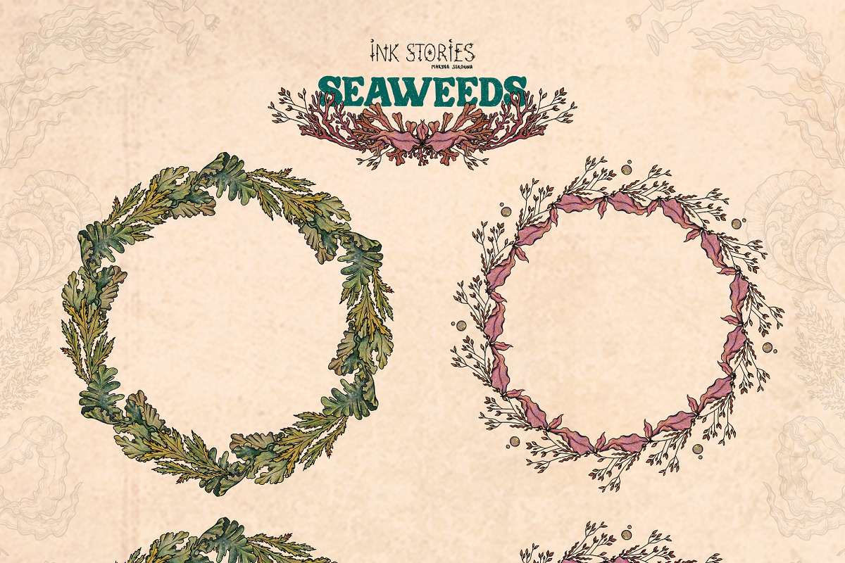 Seaweeds, an Object Illustration by Ink Stories (Photo 5 of 24)
