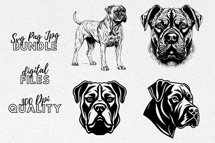 Cane Corso SVG - Dog Breeds Clipart