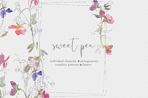 Watercolor Sweet Pea Clipart Set